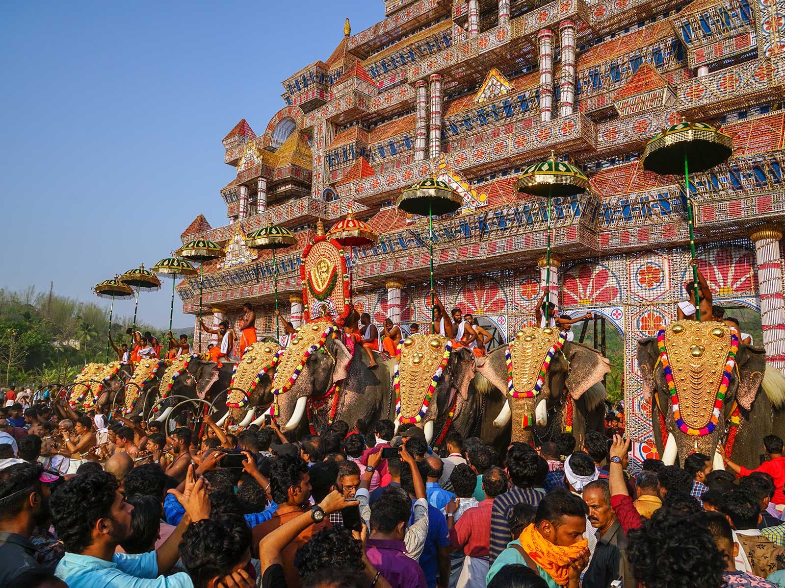 Festivals & Celebrations